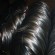supply soft black annealed iron wire use in construction