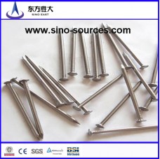 Clout head galvanized nails factory  Clout head galvanized nails factory
