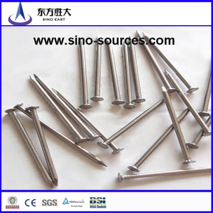 Clout head galvanized nails factory