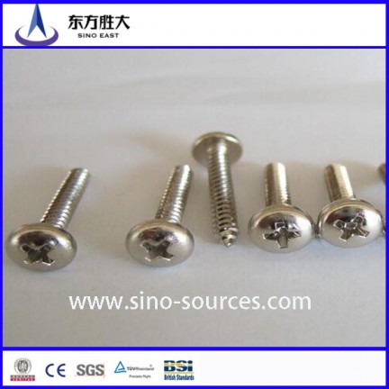 Electro Galvanized Steel Nail