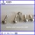 Electro Galvanized Steel Nail
