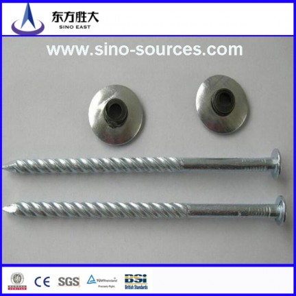 Galvanized nail with ring shank