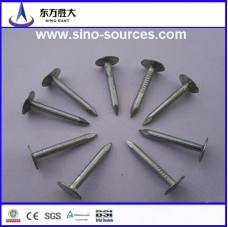 Galvanized nails for nail gun from China Supplier