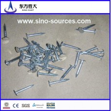 galvanized polished smooth commom nails  galvanized polished smooth commom nails