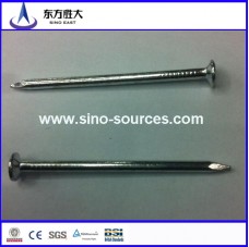 Galvanized stainless steel nail