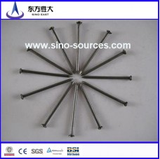 Galvanized steel Nails with high zinc coating  Galvanized steel Nails with high zinc coating