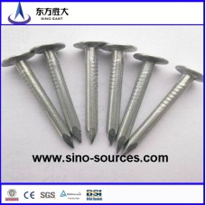 Galvanized steel roof nail  Galvanized steel roof nail