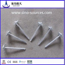 gauge galvanized steel nails factory price from Chinese mill
