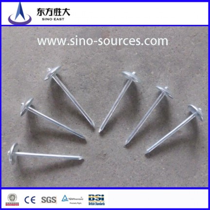 gauge galvanized steel nails factory price from Chinese mill