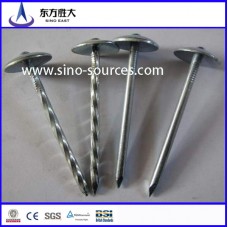 hot dipped Gi roofing steel nails
