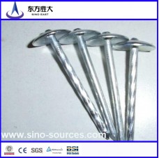 roofing nail with umbrella head manufactuer
