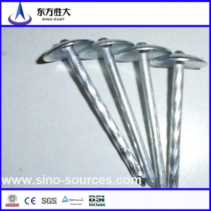 roofing nail with umbrella head manufactuer