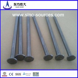 Wholesale Galvanized Steel Nails