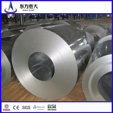 Export to Africa good supplier galvanized carbon steel coil