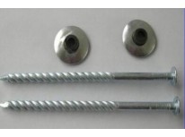Quotes of Galvanized Steel Nails from India