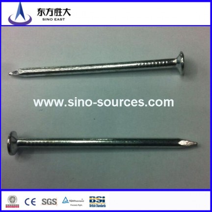 Galvanized stainless steel nail