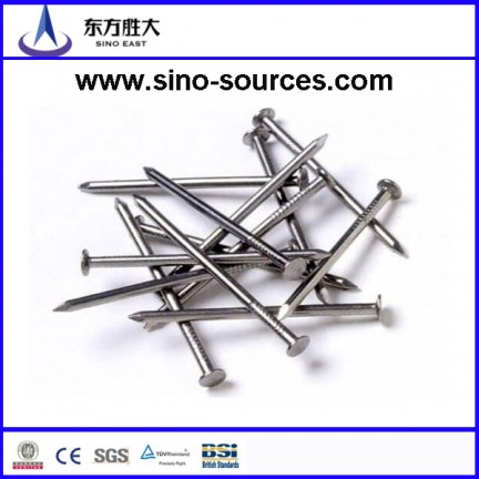 Umbrella head smooth shank roofing galvanized nails